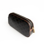 Celine Clutch with Chain in Triomphe Canvas and Lambskin / MULTI BAG in Triomphe Canvas and Calfskin